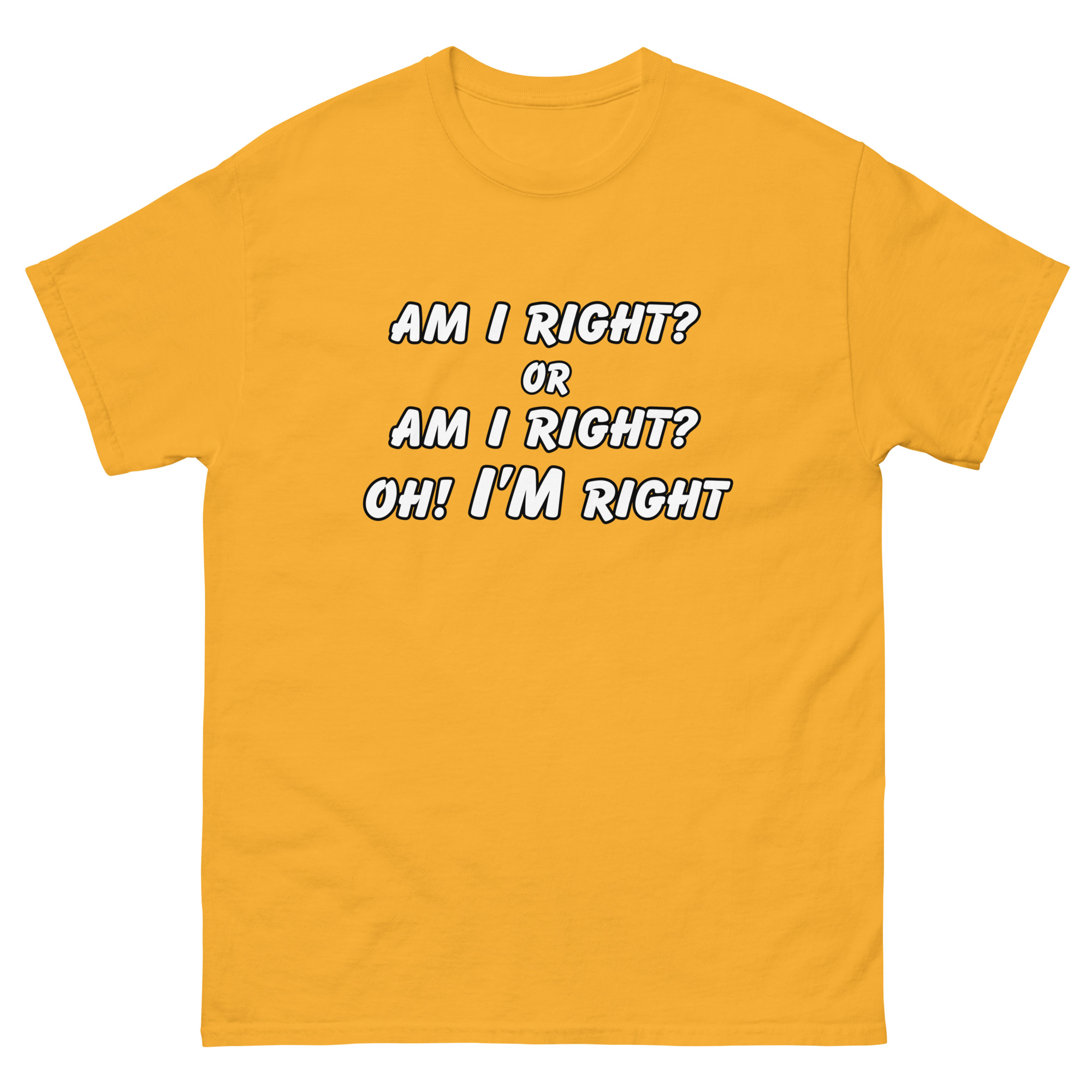 Am I RIght Tee - Image 19